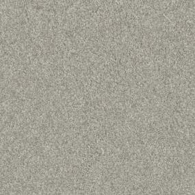 Established Zoomed Swatch