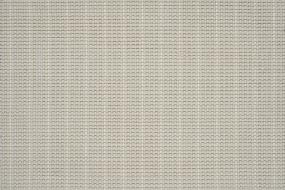 Roxbury Stripe - Silver Lining Swatch