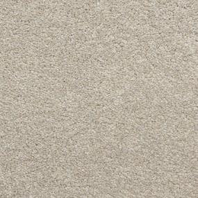 Star Power - Driftwood Swatch