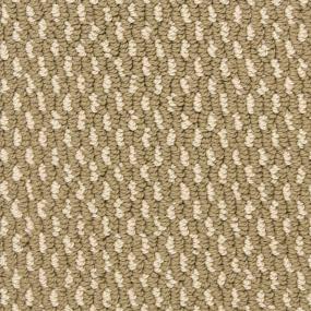 Larson - Spice Swatch