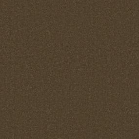 Bison Swatch Thumbnail