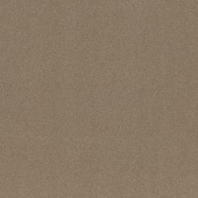 Corkwood Swatch Thumbnail