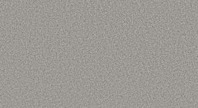 Camp Trail I - Mercury Swatch