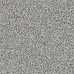 Platinum Zoomed Swatch