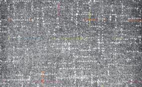 Celebration Swatch Thumbnail