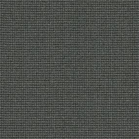 Moment In Time - Austere Swatch