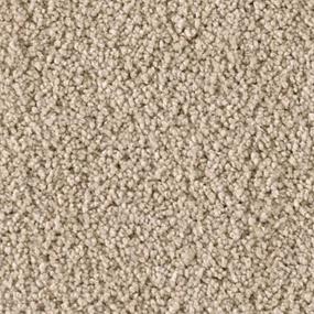 Sometimes Zoomed Swatch