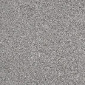 Big Dog - Schnauzer Swatch