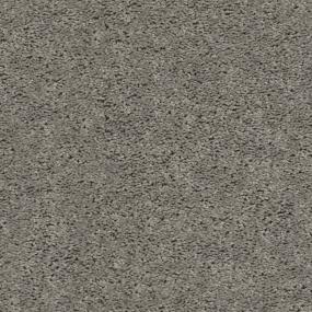 Dogsled Zoomed Swatch