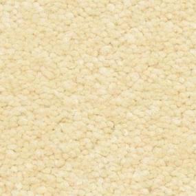 Arena Zoomed Swatch