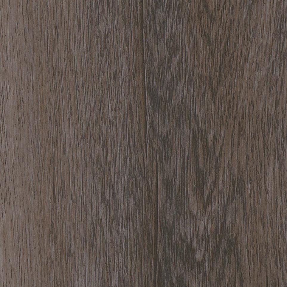 Outdoor Adventure Zoomed Swatch