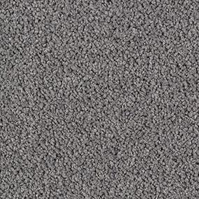 Luxurious Beauty - Studio Steel Swatch