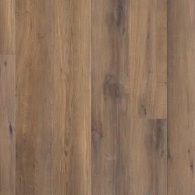 Rockcliffe Trail - Chocolate Truffle Swatch