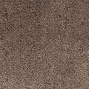 Cedar Grove Swatch Thumbnail