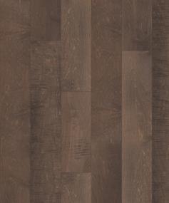 Coventry Maple