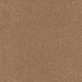 Tribute - Antigua Swatch