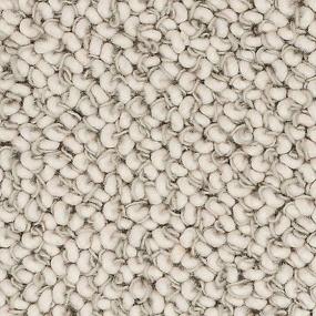 Designer Elegance - Greige Swatch