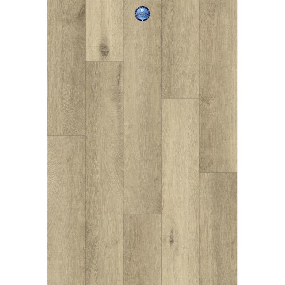 New Wave by Provenza - Great Escape