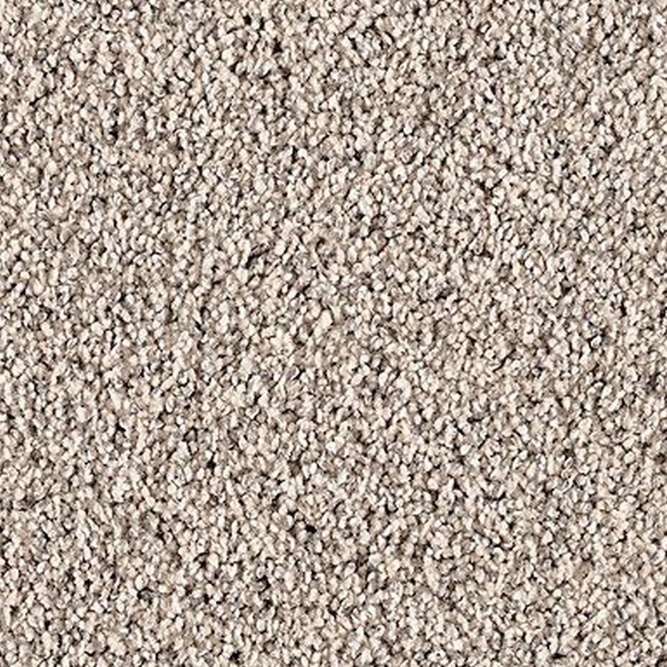 Suave Zoomed Swatch