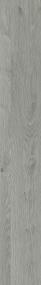 Moonlight Ballad - Sandy Foliage - Sandy Foliage Swatch