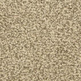 Color Festival - Grey Scale Swatch