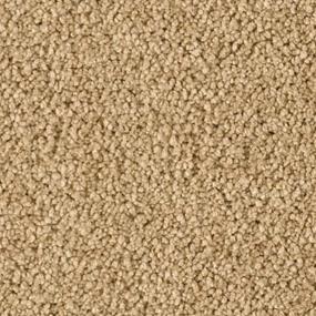 Gondola Zoomed Swatch