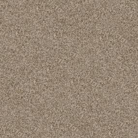 Top Dog - Spaniel Swatch