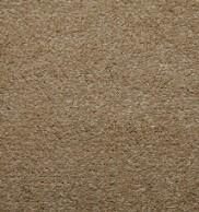 Camel Swatch Thumbnail