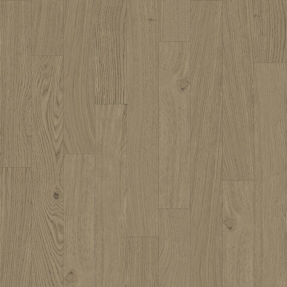 Birch Swatch