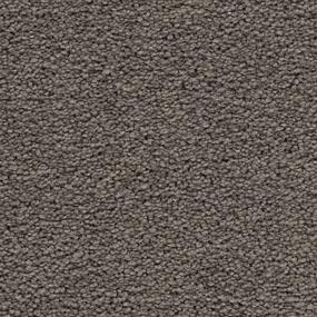 Vision Zoomed Swatch