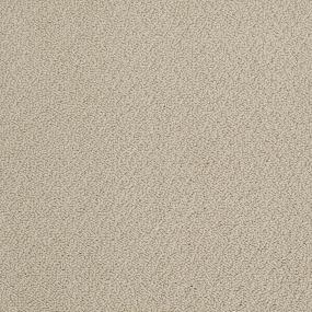 Ts421 - Sandpiper Swatch