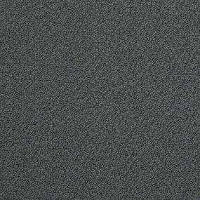 Ts421 - Shadow Ridge Swatch