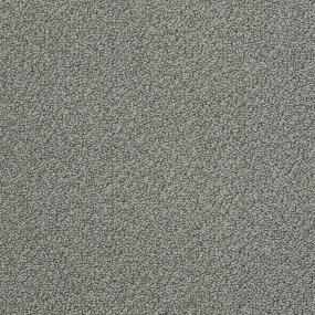 Ts421 - Tundra Swatch