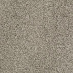 Ts421 - Taupestone Swatch