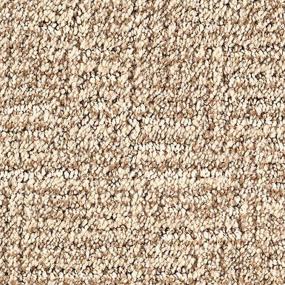 Toasted Almond Zoomed Swatch