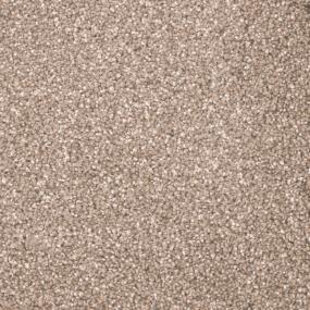 Metropolitan II - Acorn Swatch