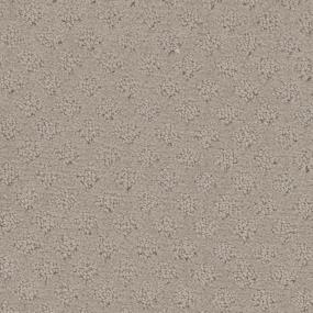 Antelope Zoomed Swatch
