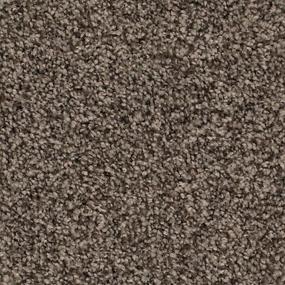 Sparrow Swatch Thumbnail