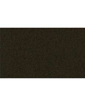 Established Zoomed Swatch