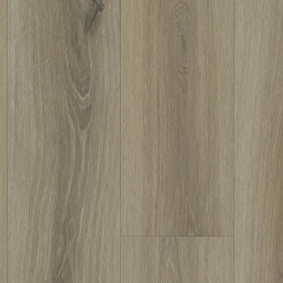Alabaster Zoomed Swatch