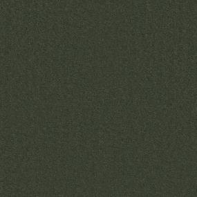 Mountain Fern Zoomed Swatch