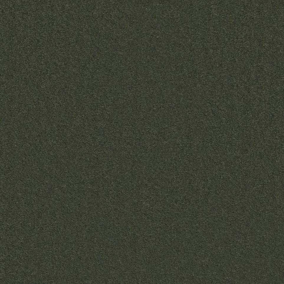 Mountain Fern Zoomed Swatch