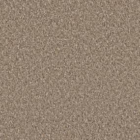 Chestnut Zoomed Swatch