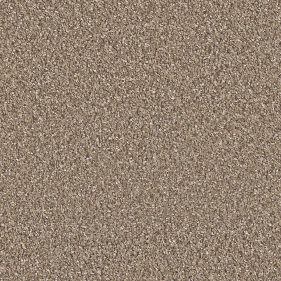 Chestnut Zoomed Swatch