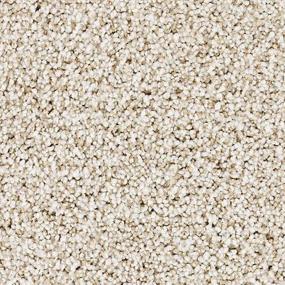 Wild Silk Zoomed Swatch
