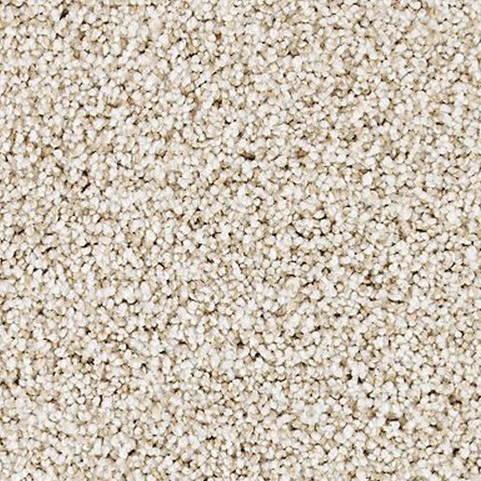 Wild Silk Zoomed Swatch