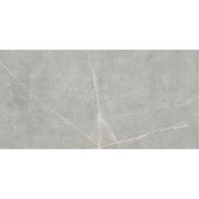 Sterlina II Polished 12X24 - Gray Swatch
