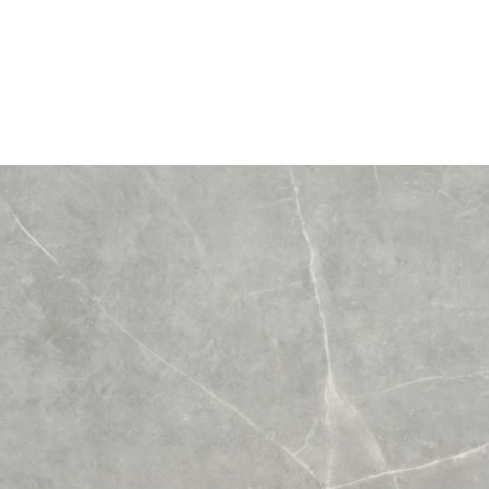 Gray Zoomed Swatch