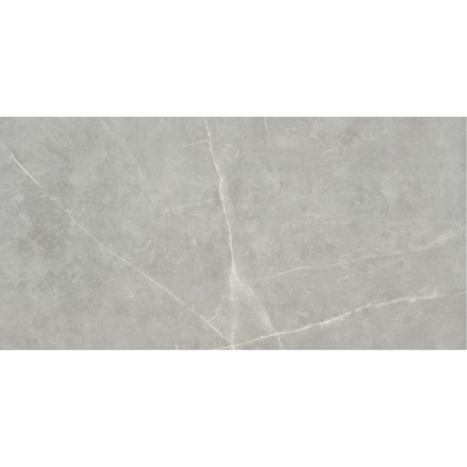 Sterlina II Polished 12X24 by Emser Tile, LLC - Gray