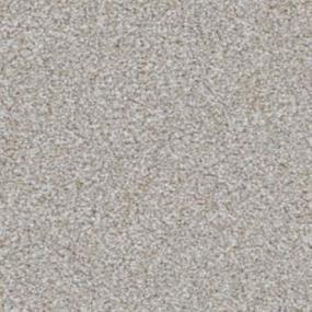 Top Dog - Griffon Swatch